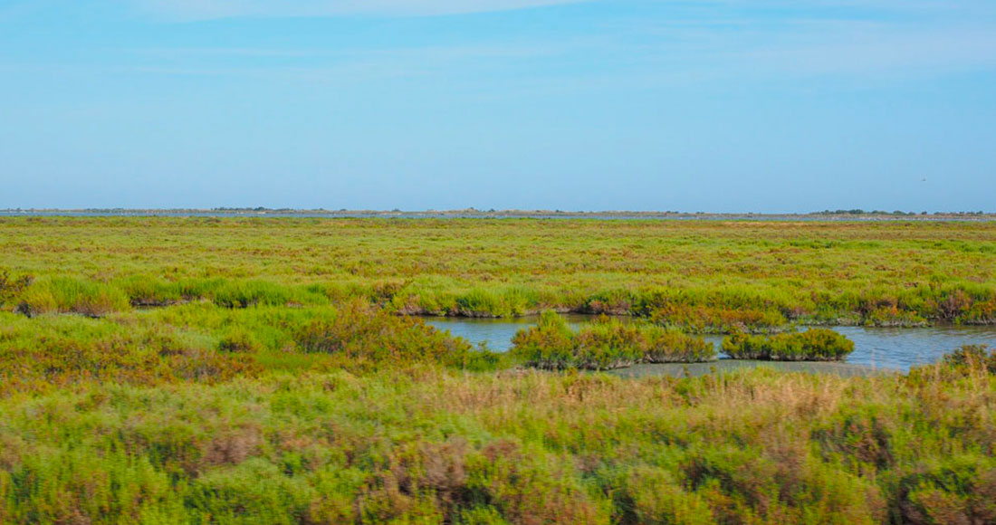 camping camargue